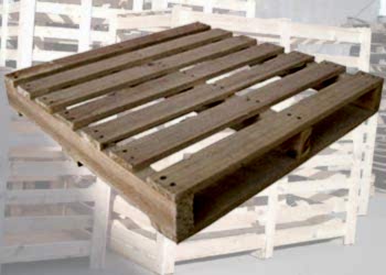 �zel �l��l� Palet